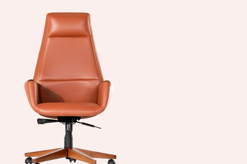 Ofis Koltukları